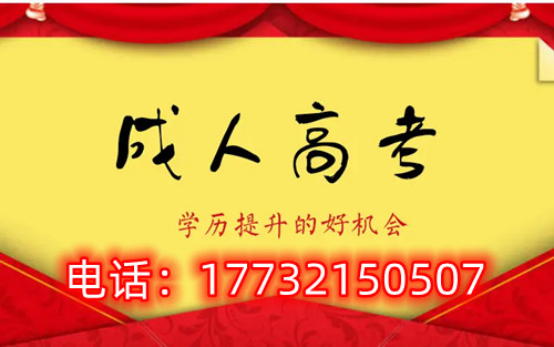 干貨！備考必讀，成考不踩雷！