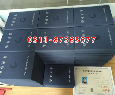 學信網(wǎng)上都能查詢什么學歷呢？