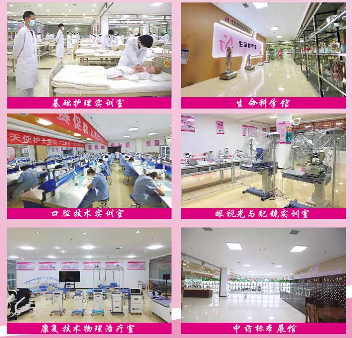 QQ20251119-165822副本.jpg QQ20251119-165822副本.jpg