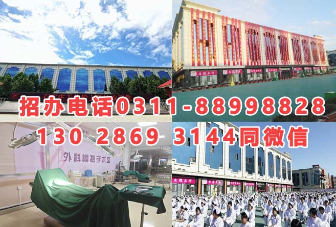 石家莊天使護士學(xué)校2026年招生分數(shù)線是多少？